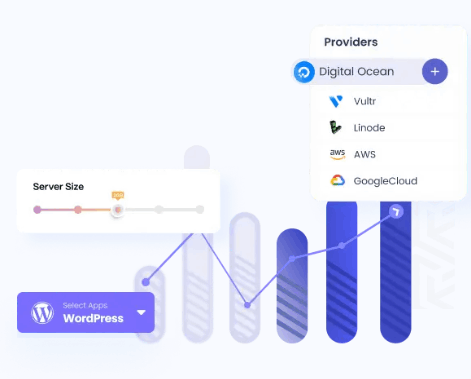 Free Bonus #2: Cloudways Dashboard